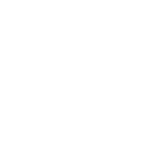 Skyline Auto Movers